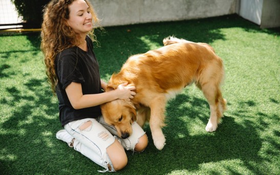Mammalian Body Covering Explained: Why Do Humans Grow More Hair on the Head?
