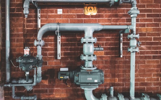 Photo by Sigmund on Unsplash