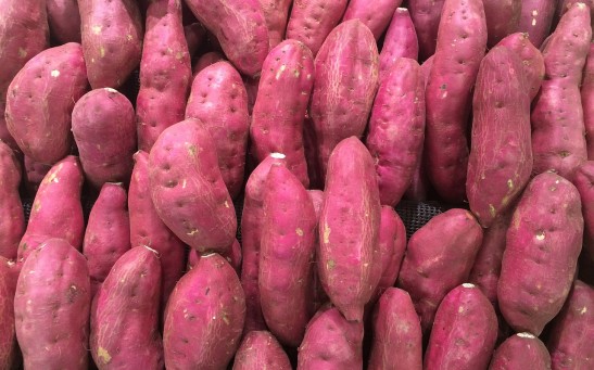 Savoring Sweet Potatoes: Unveiling the Seven Remarkable Health Benefits Beyond the Thanksgiving Treat