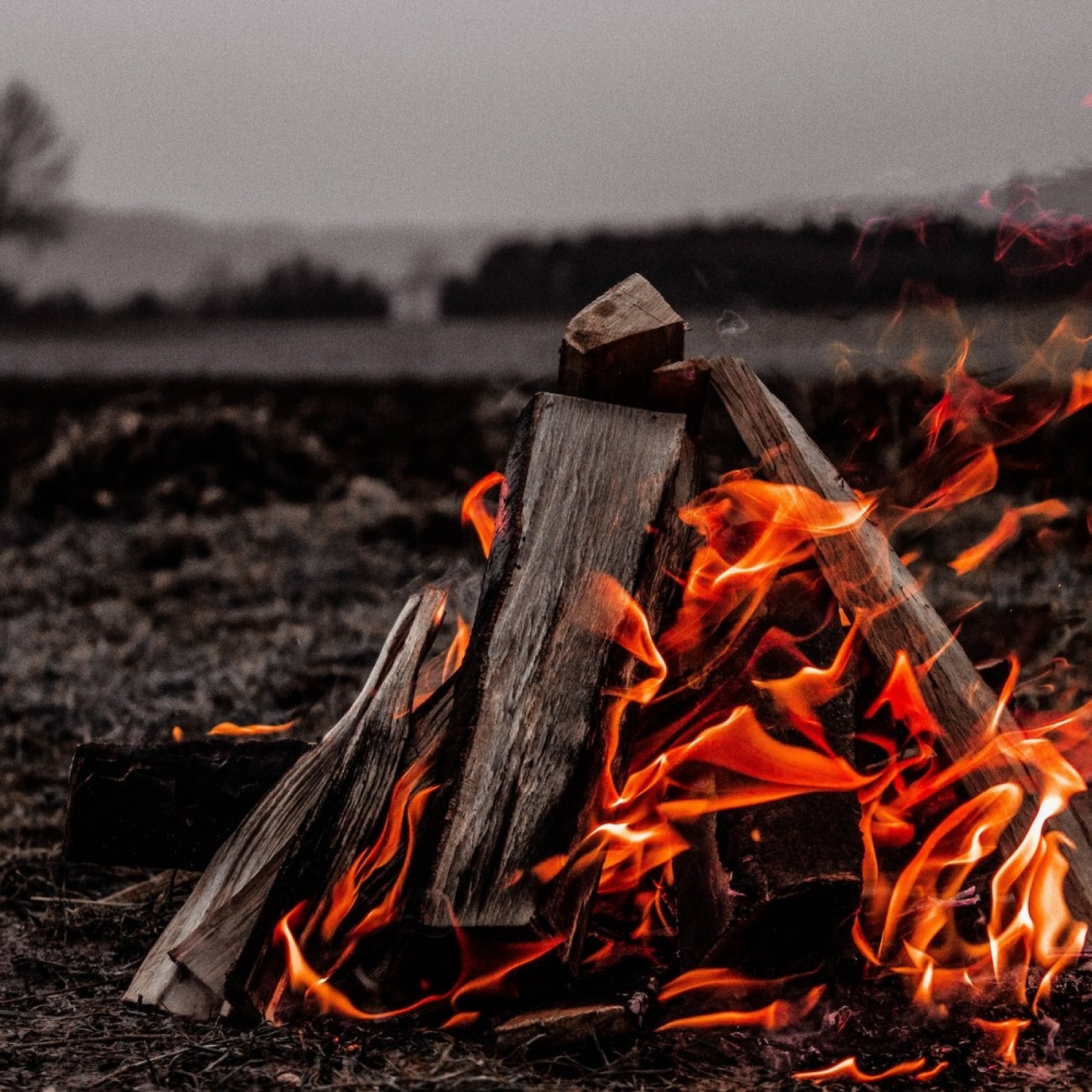 Invention Of Fire Fire Devastates New Delhi's National Museum Of