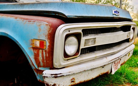 brown and black car on green grass during daytime