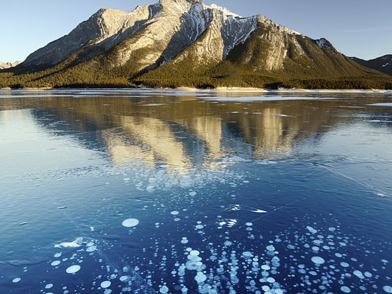 Frozen Air Bubbles In Abraham Lake Abraham Lake Alberta Road Trip To