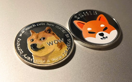 Doge, Dogecoin, Shib