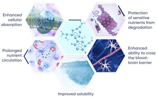 Nano Supplements vs. Traditional Supplements: Which Is Better?