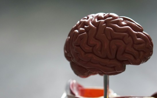 Unpacking the Science: How Our Brains Process New Information